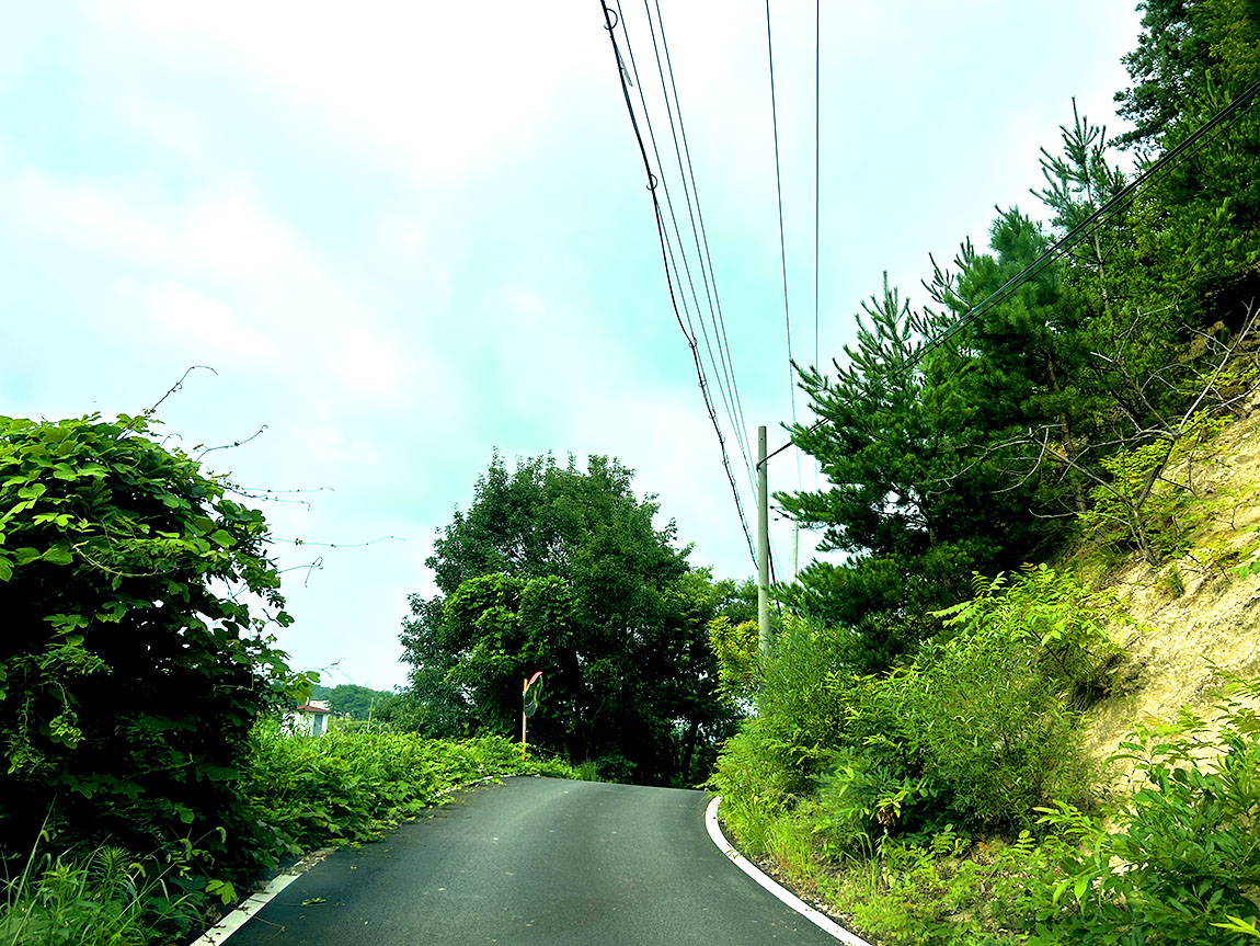 IMG_0045µ¿1.jpg