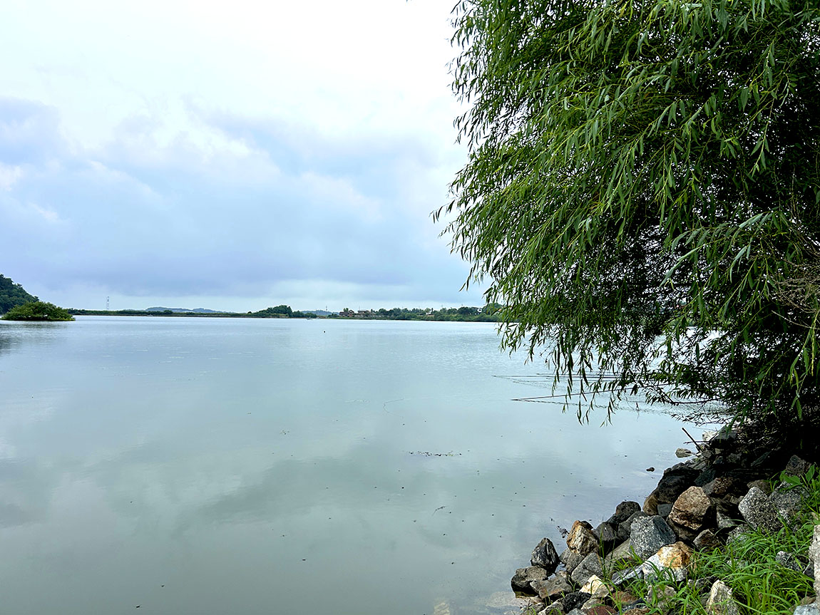 IMG_9901½Ã1.jpg