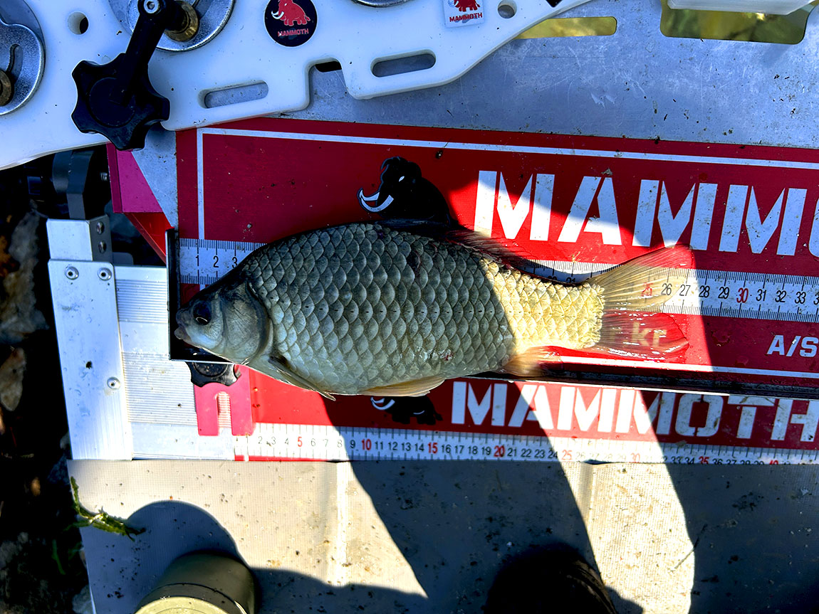 IMG_9922½Ã1.jpg