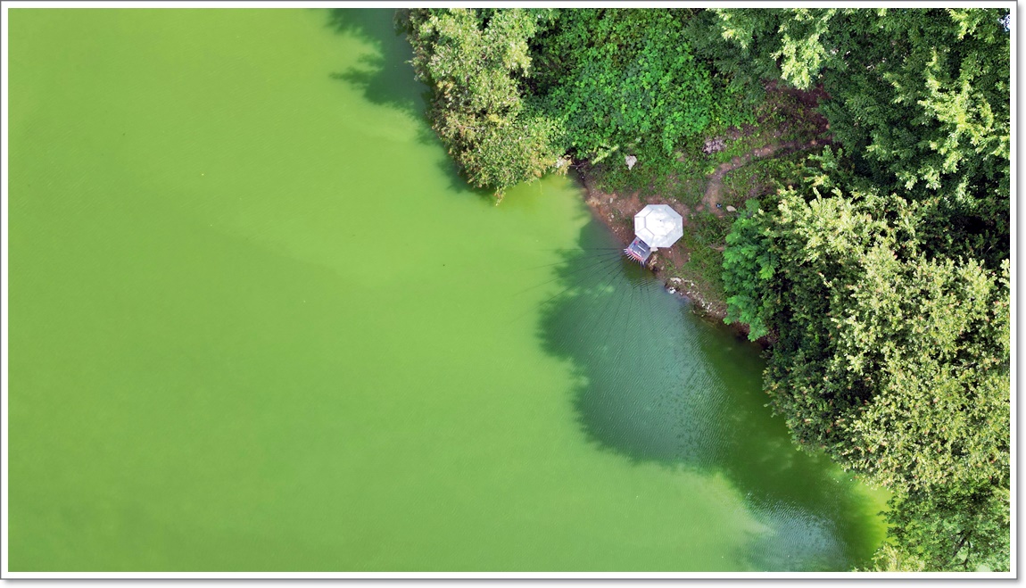 DJI_0141.JPG