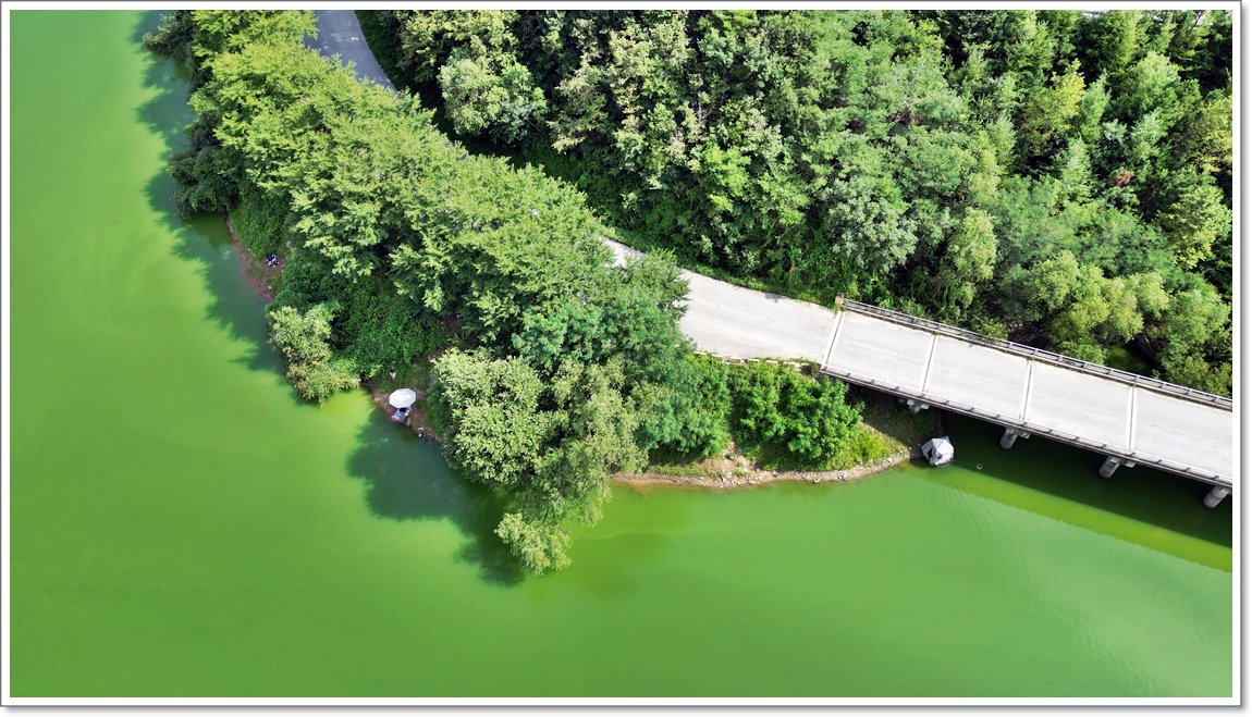 DJI_0139.JPG