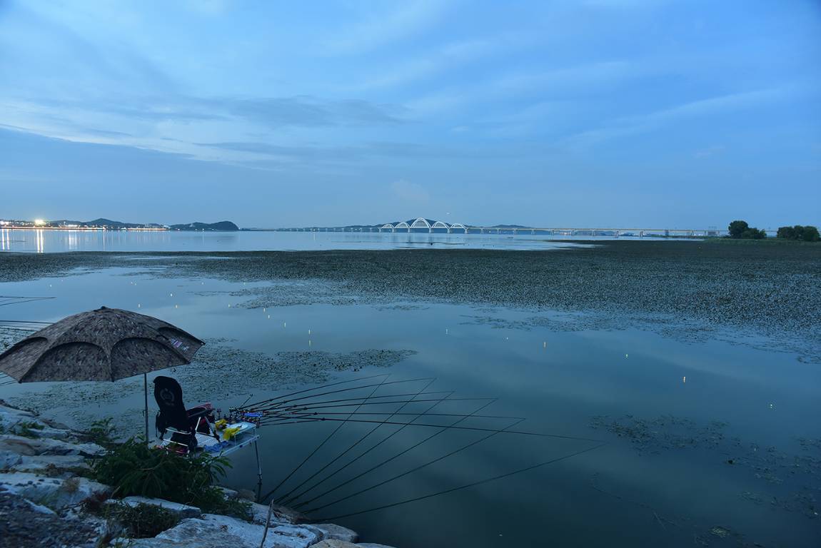 25A_4362.jpg