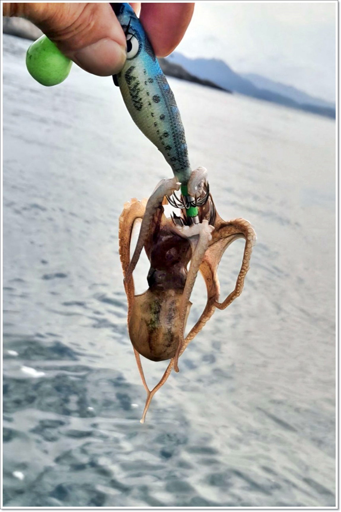 무비 × 문기어_사진_20251002_4.jpg