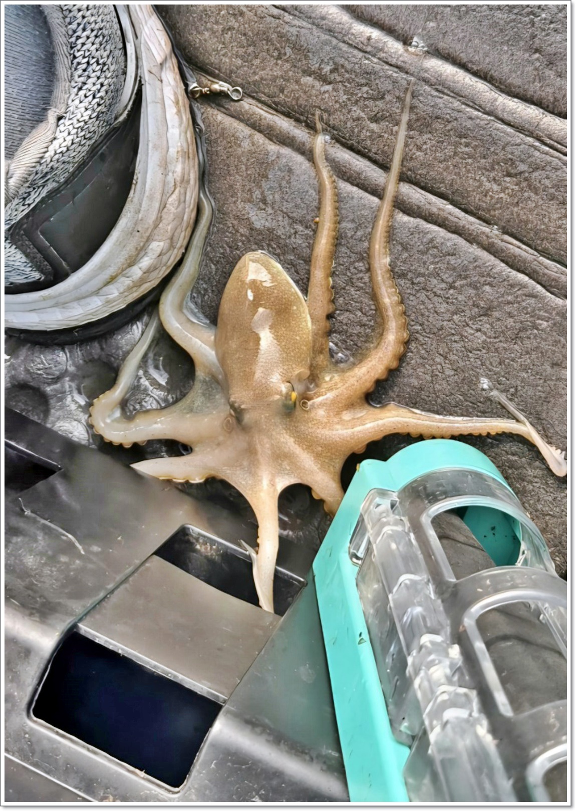 무비 × 문기어_사진_20251002_18.jpg