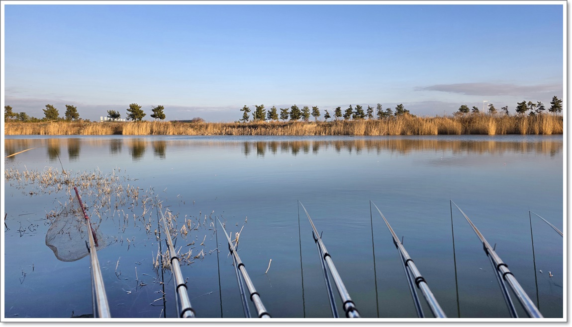 왼쪽은 뗏장 앞으로.jpg