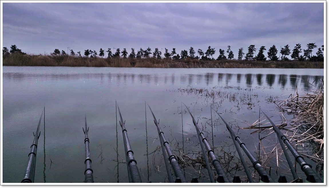 두번째 밤낙시 (1).jpg