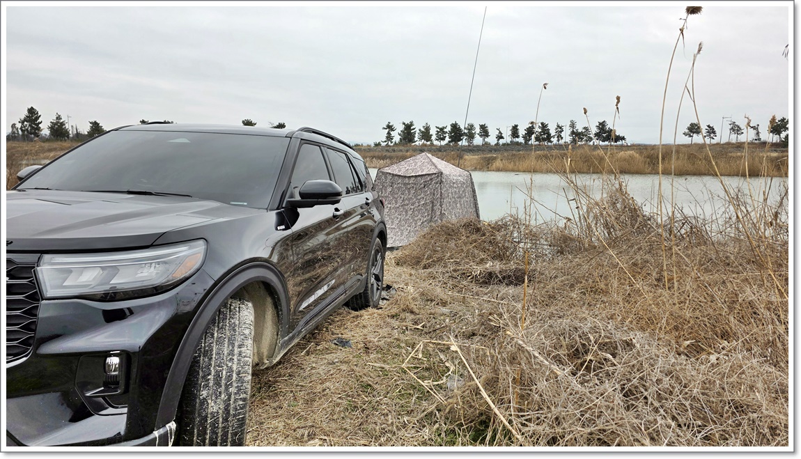 필자의포인트 (1).jpg