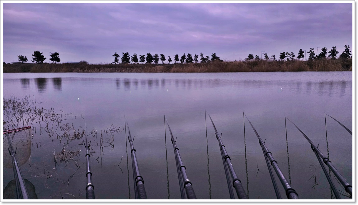 두번째 밤낙시 (2).jpg