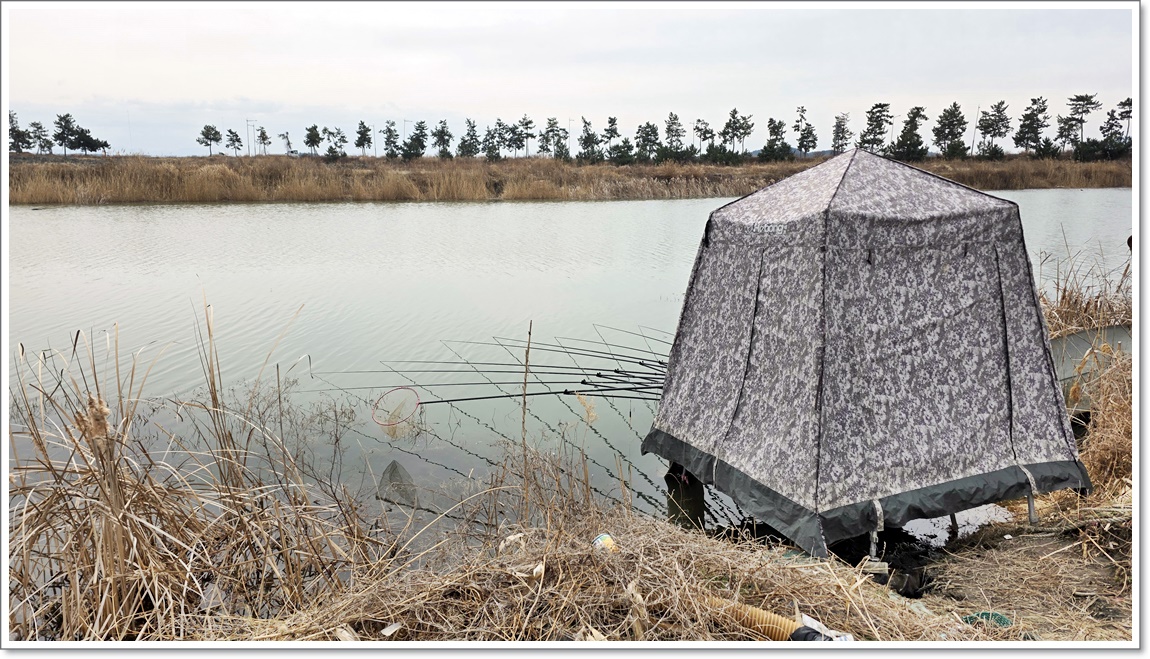 필자의포인트 (2).jpg