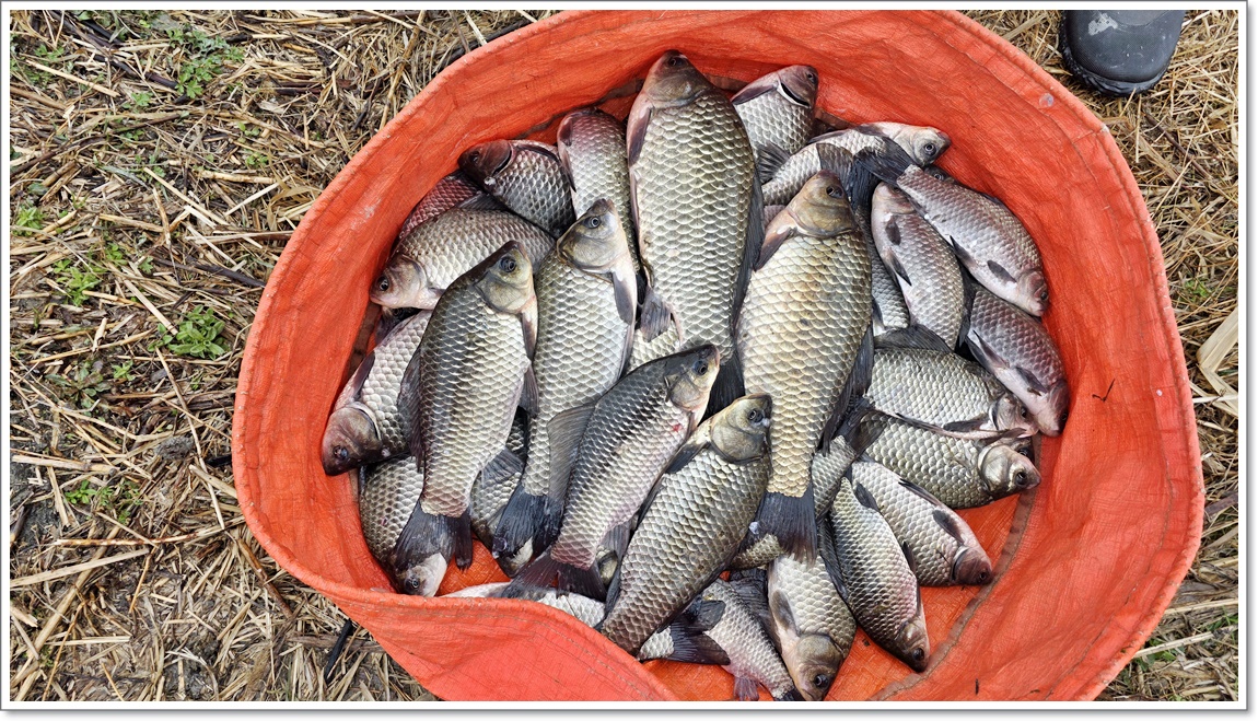 지인의조과 (2).jpg