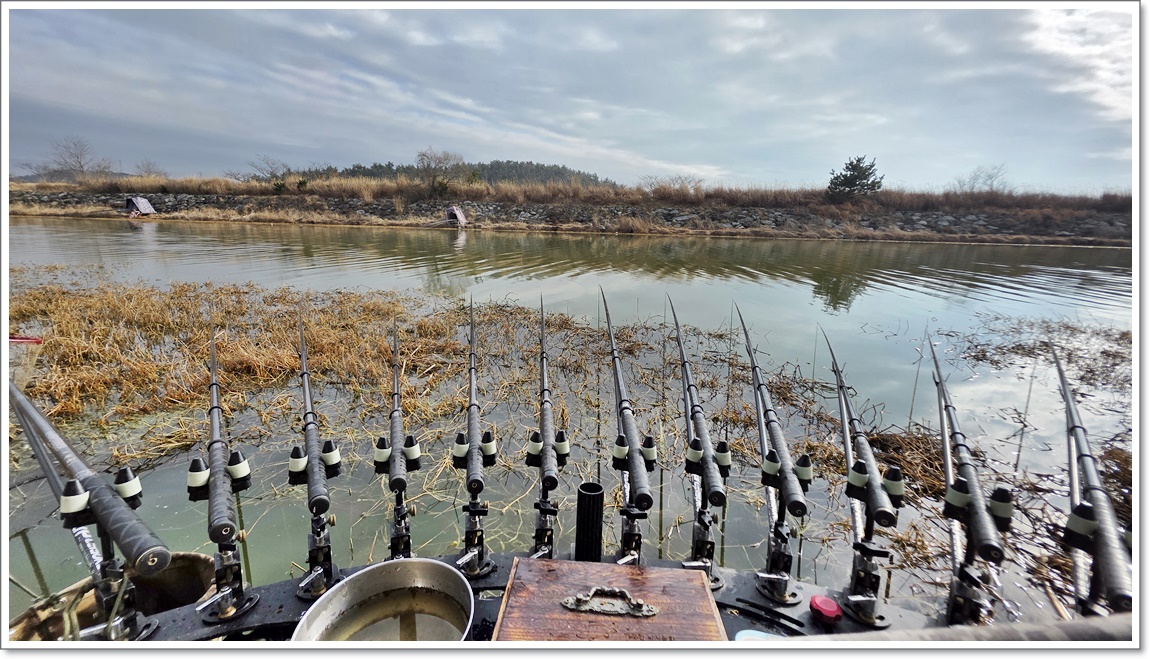 대편성중인 필자의포인트 (1).jpg