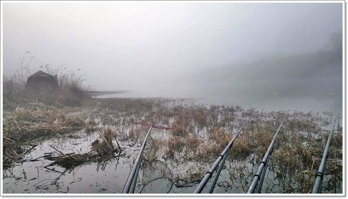 안개낀새벽 (3).jpg