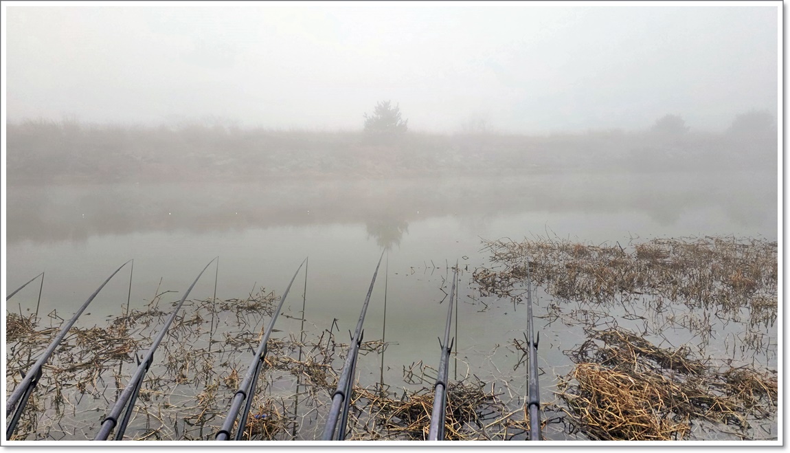 안개낀새벽 (4).jpg