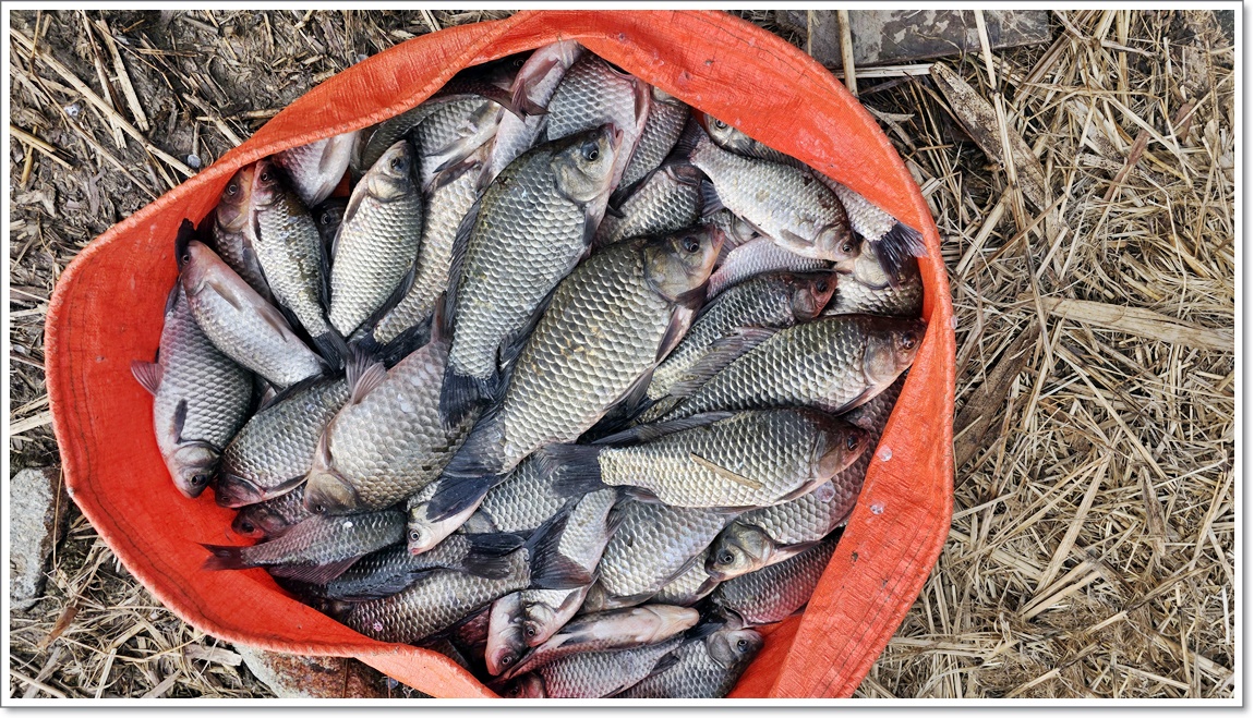 필자와조과 (6).jpg