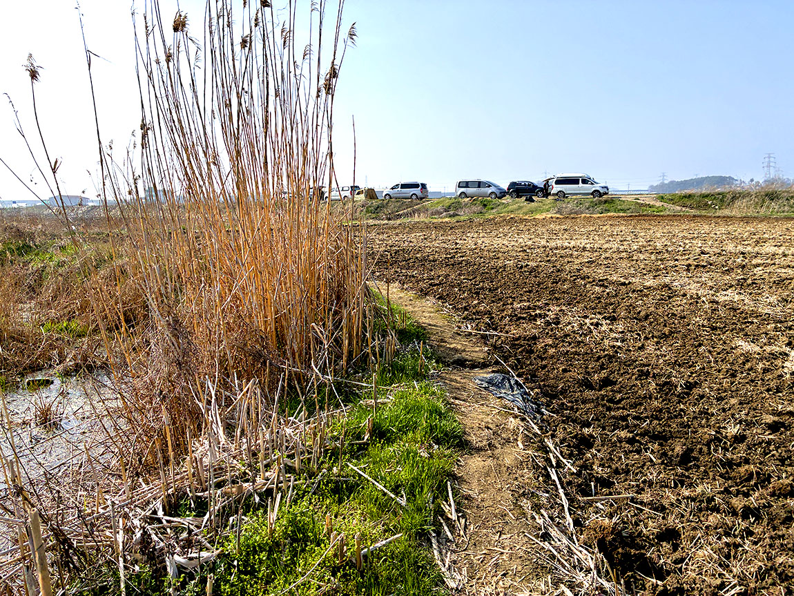 IMG_1667ȫ1.jpg