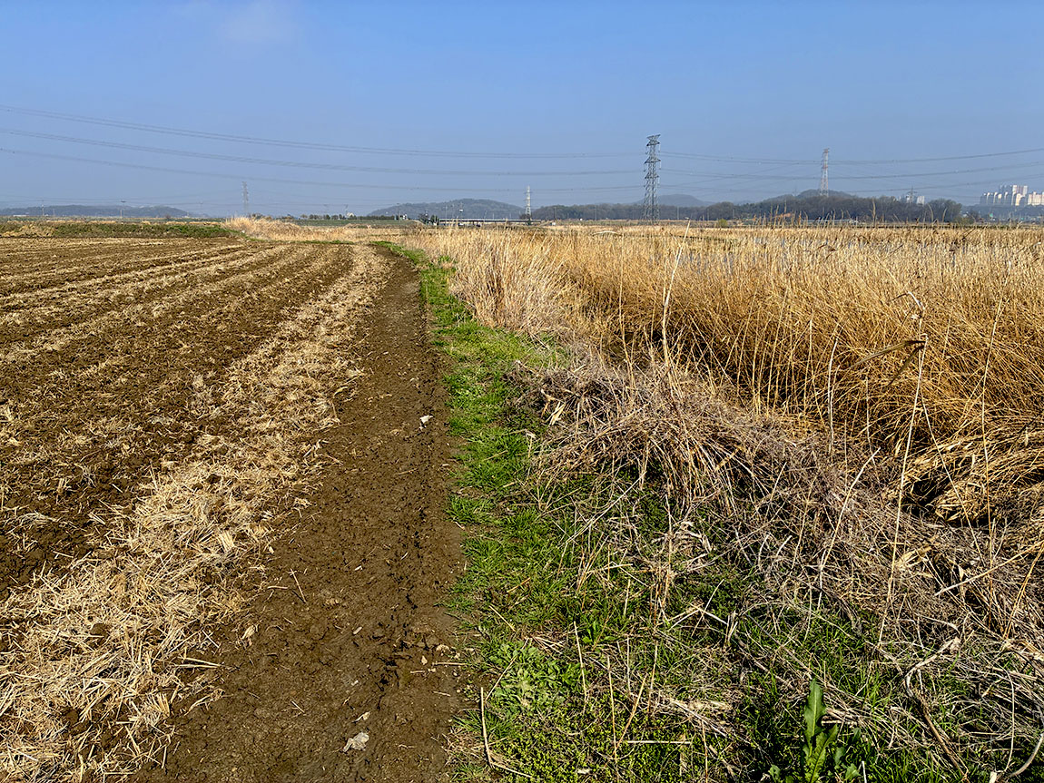 IMG_1665ȫ1.jpg