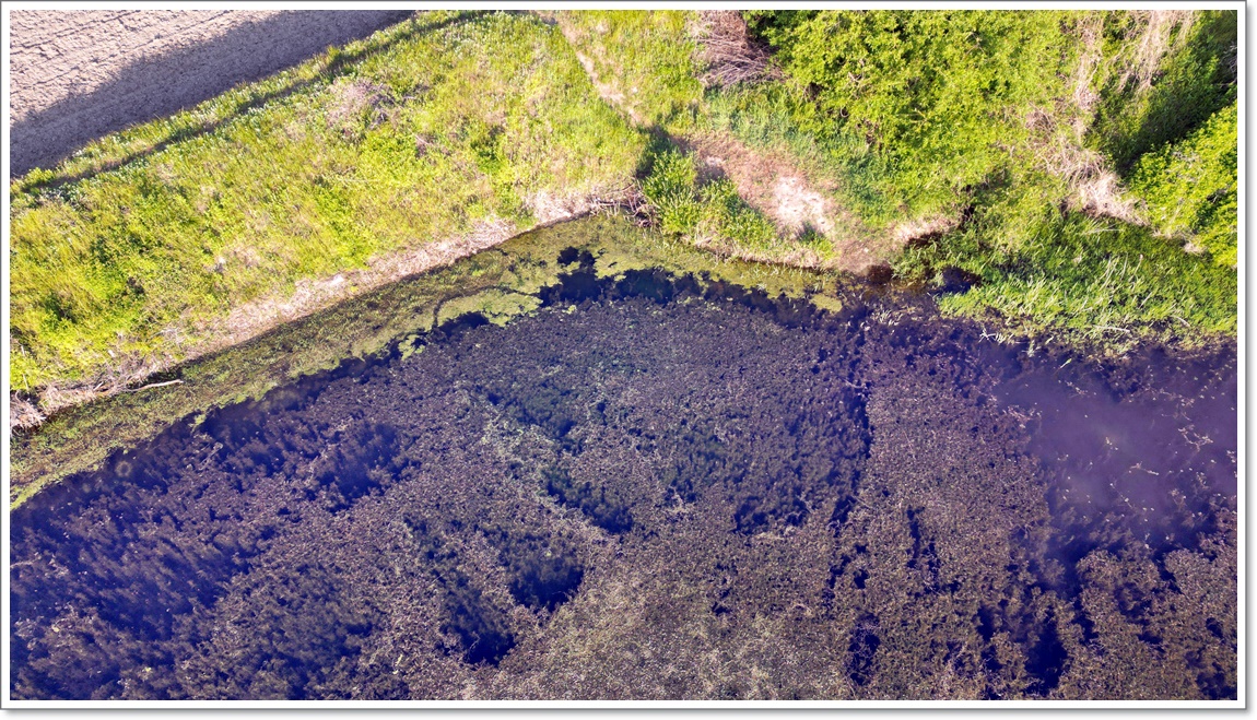 dji_fly_20260506_071150_99_1778017718283_photo.jpg