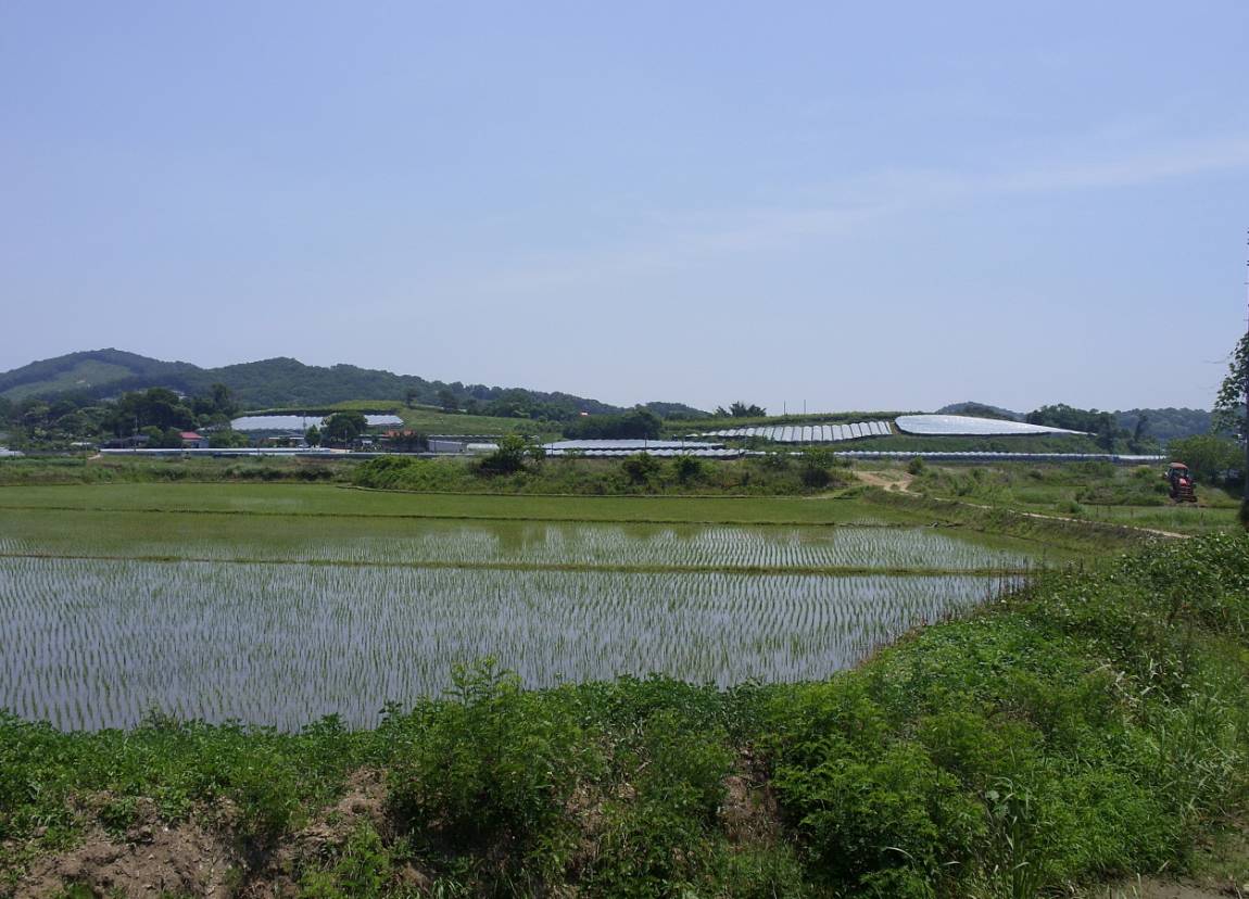 SDC13317.JPG