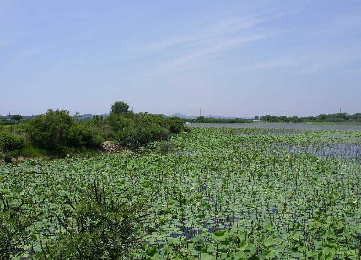 SDC13318.JPG