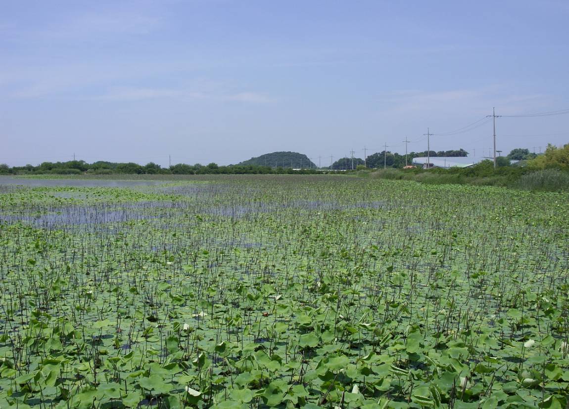 SDC13320.JPG