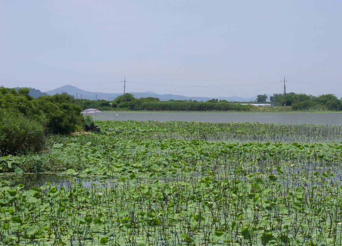 SDC13322.JPG