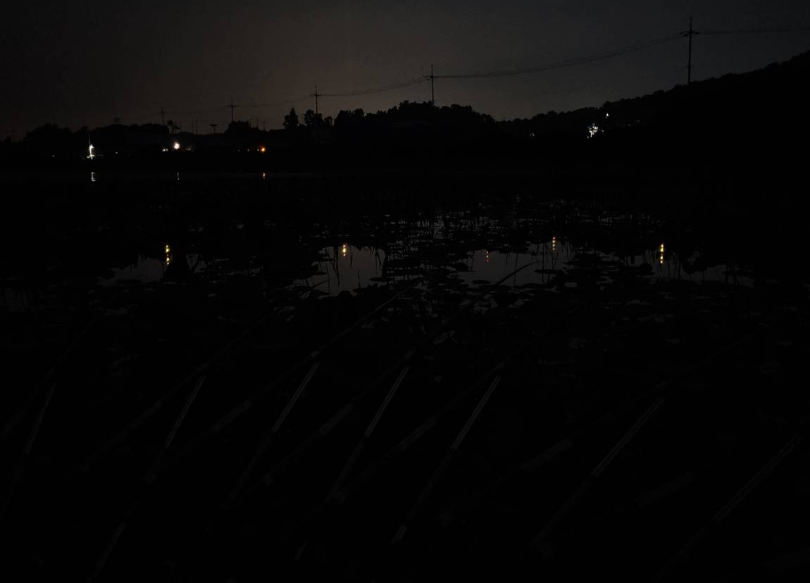 20260613_205101.jpg