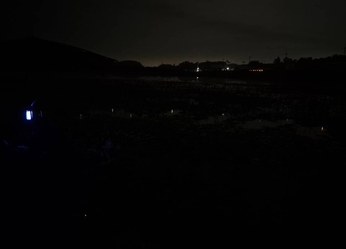 20260613_231212.jpg