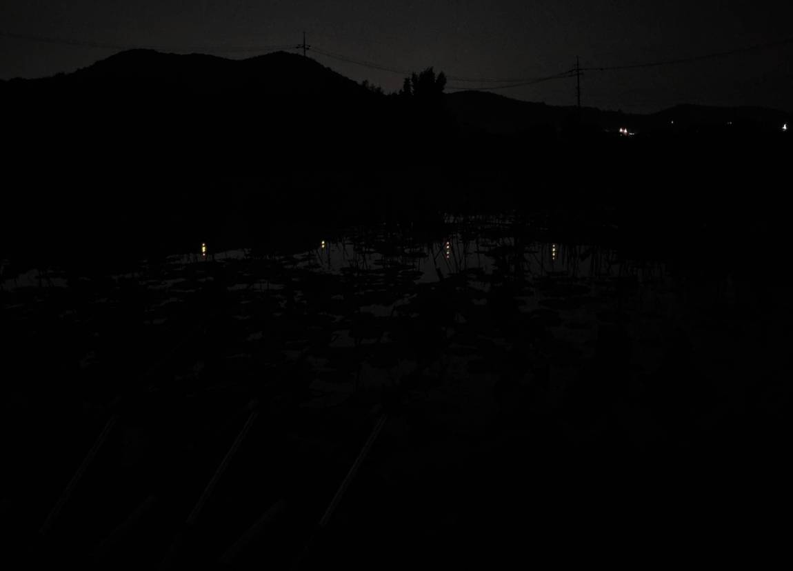 20260613_221513.jpg