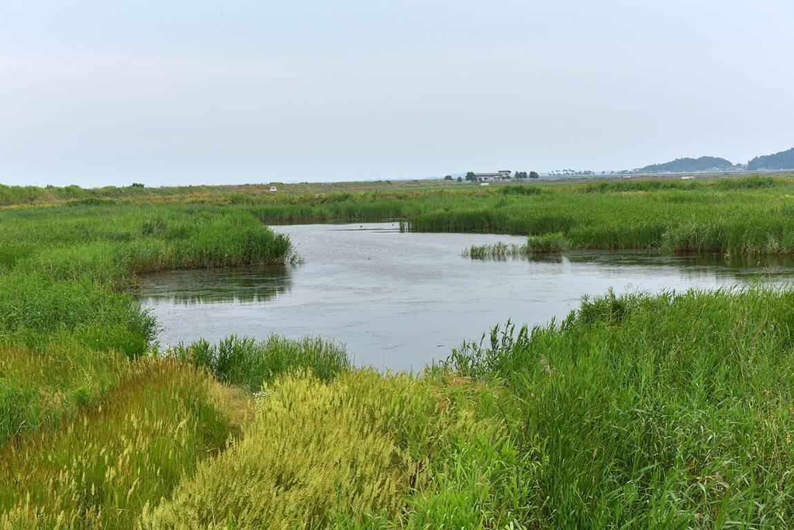 26A_4417.jpg