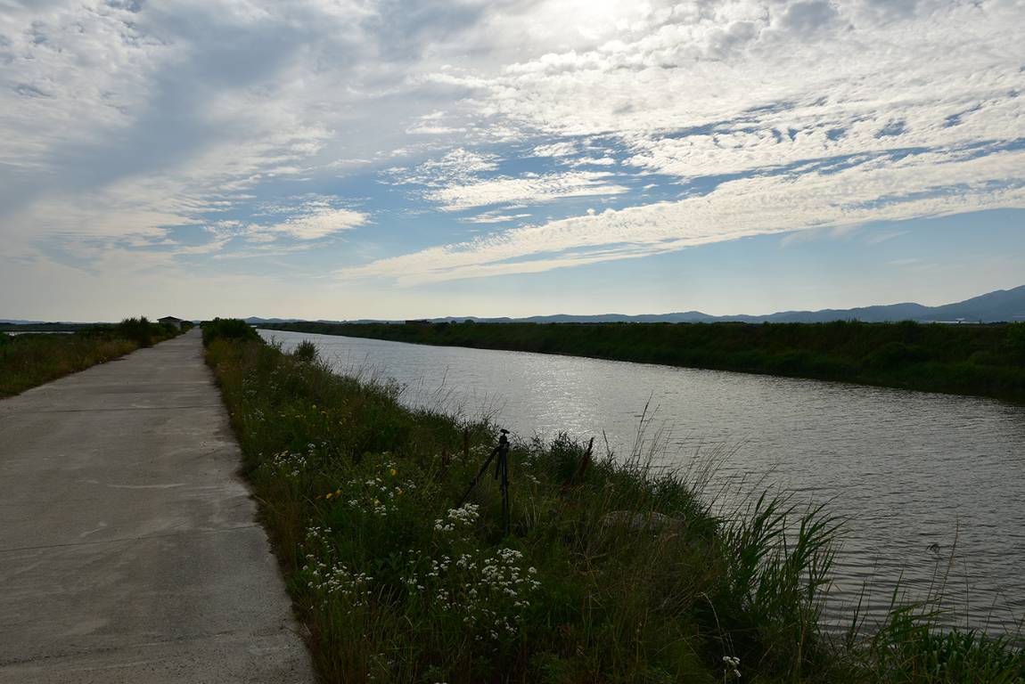 26A_4442.jpg