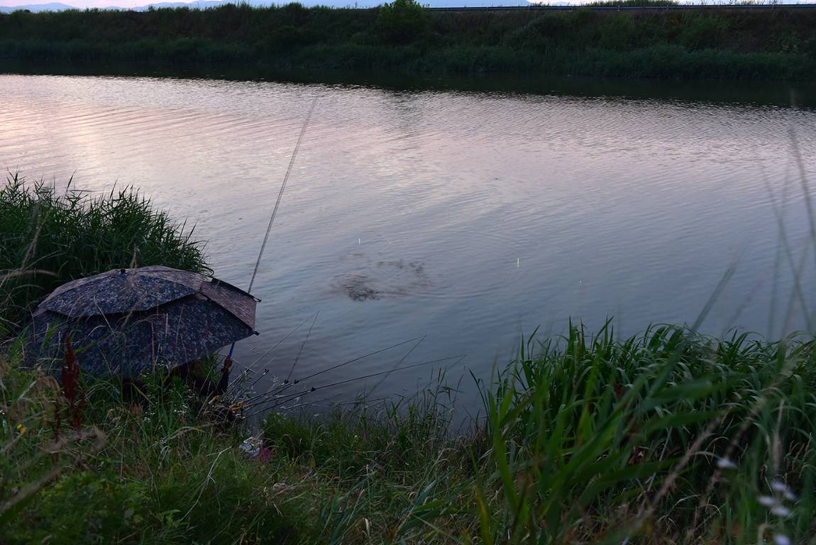 26A_4460.jpg