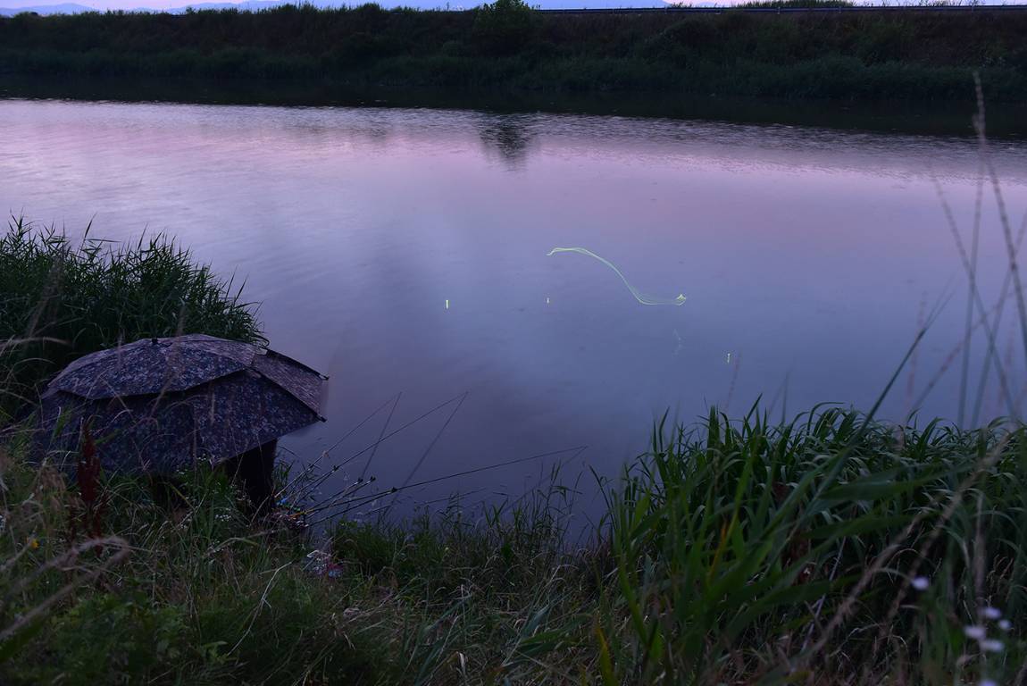 26A_4464.jpg