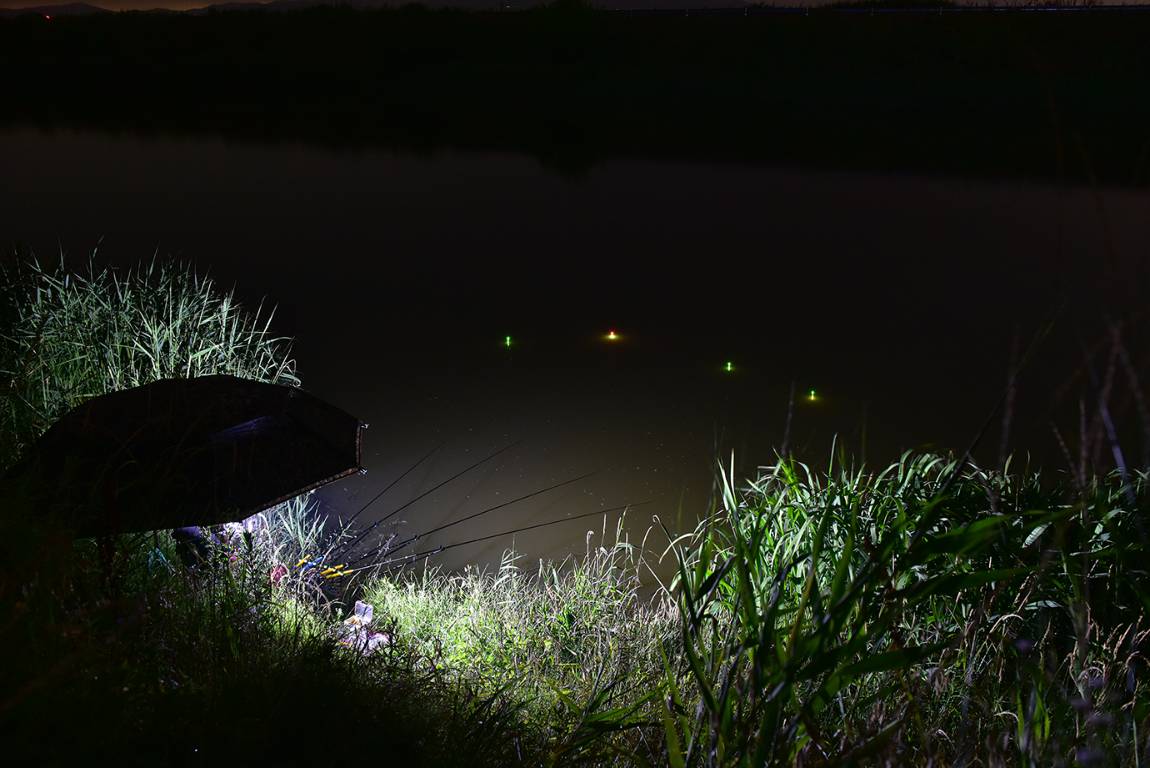26A_4478.jpg