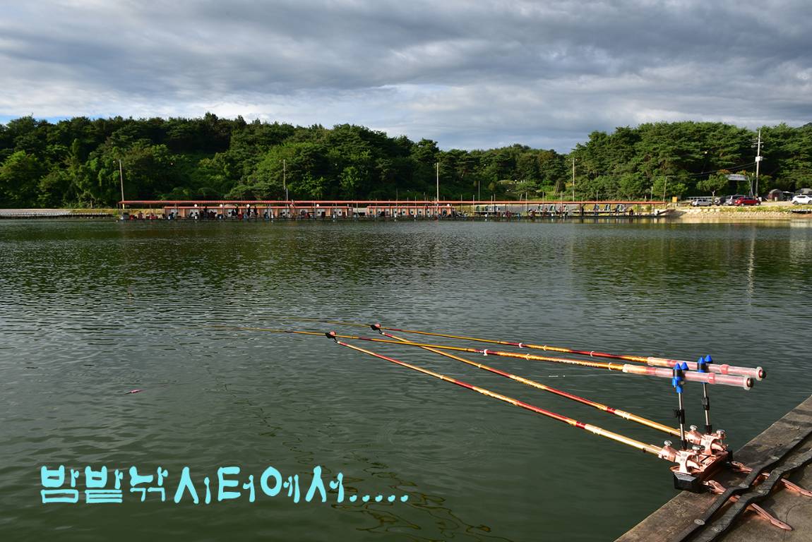 26A_4836.jpg