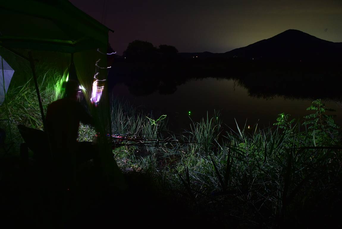 26A_4917.jpg