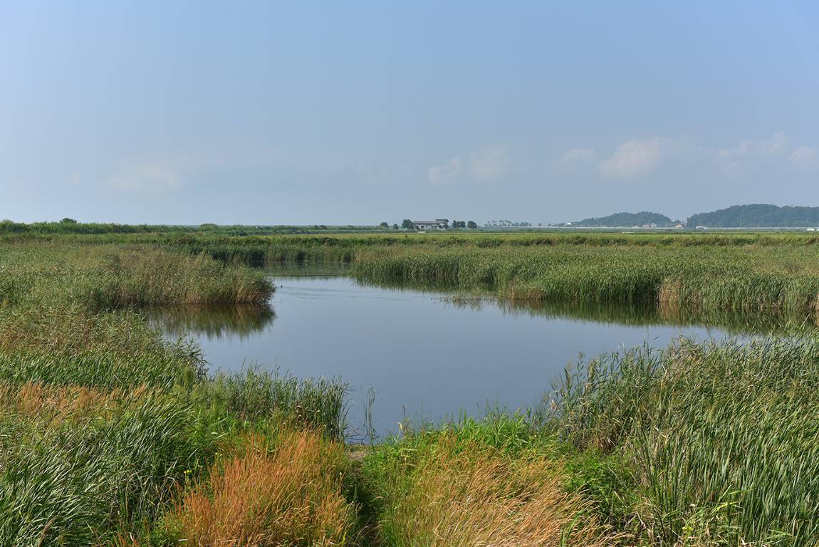 26A_4949.jpg