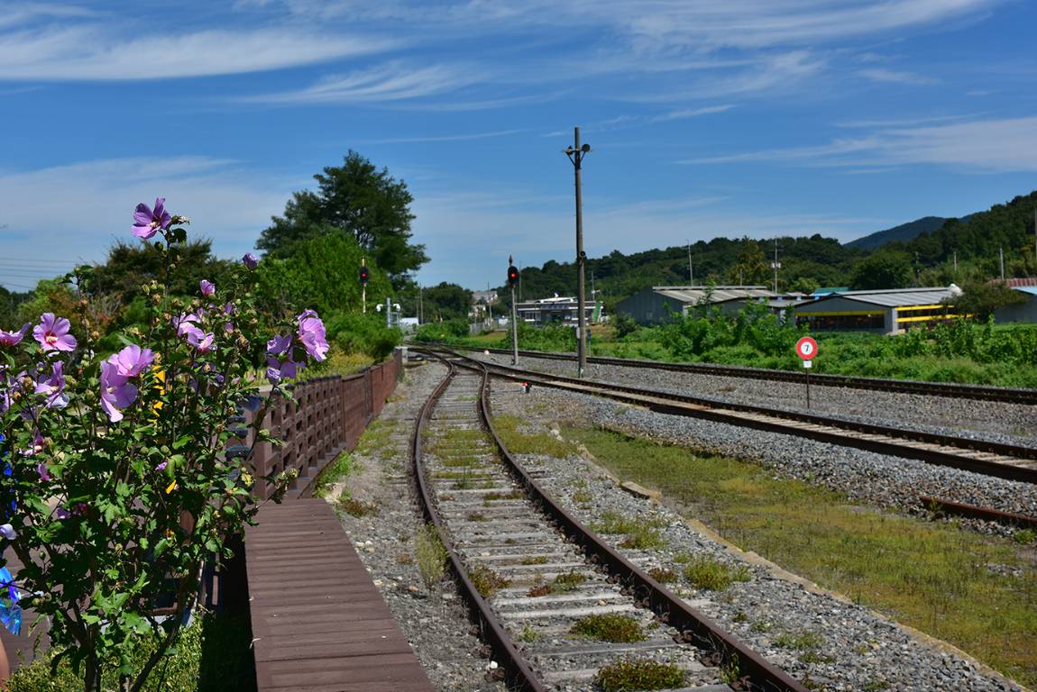 26A_5628-9.jpg