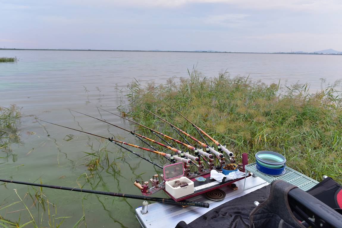 26A_5633.jpg