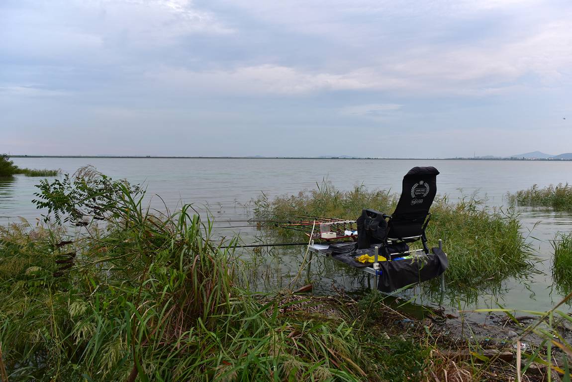 26A_5638.jpg