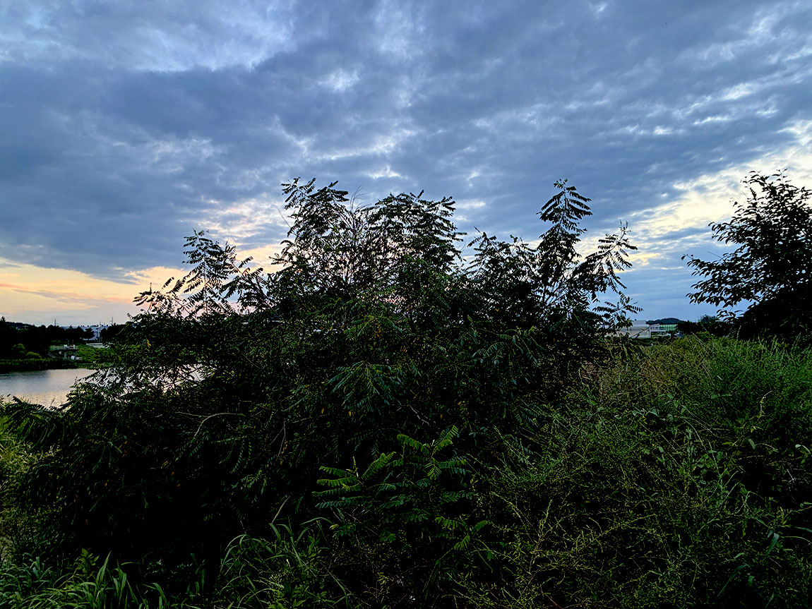 IMG_2539��1.jpg
