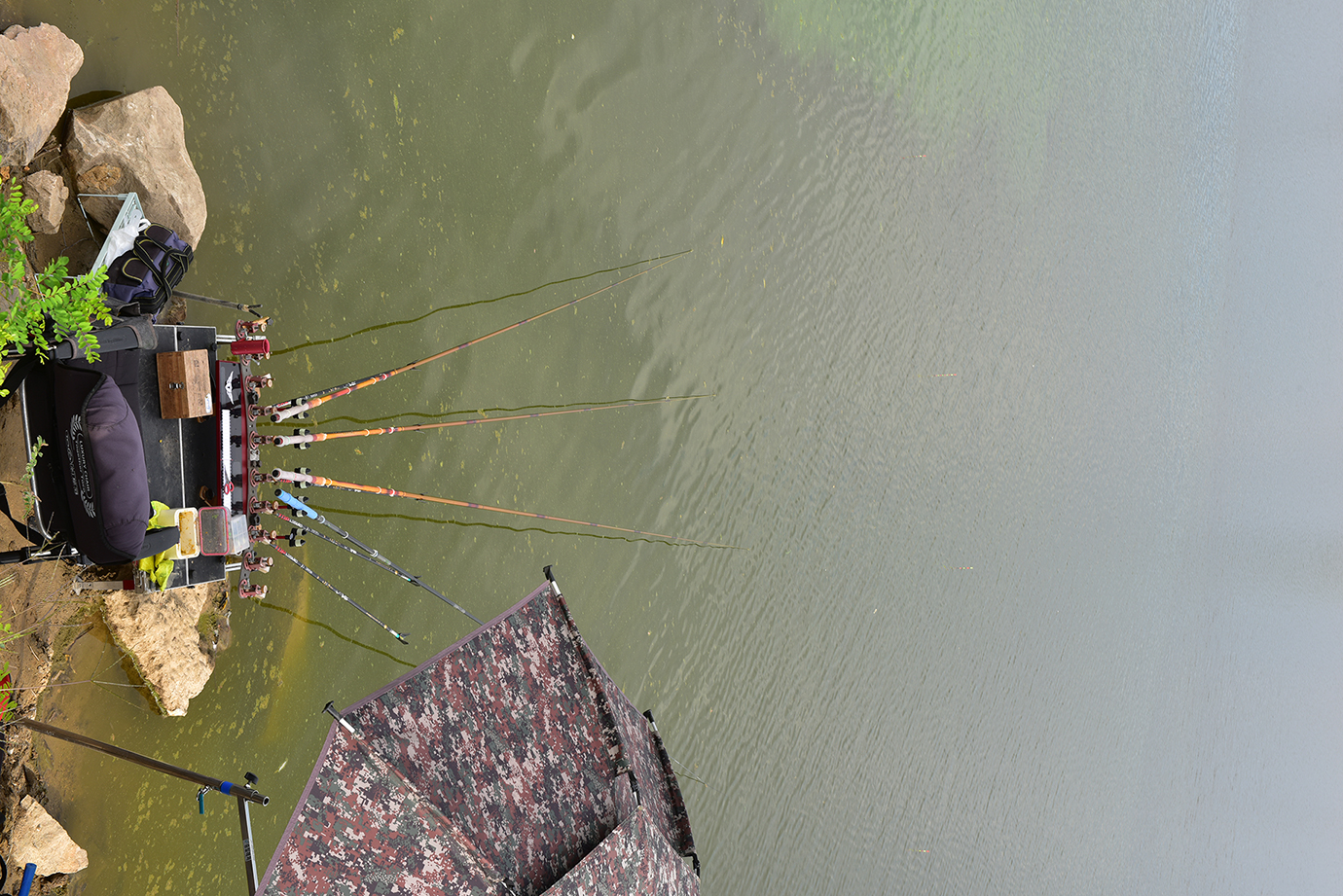 26A_6127.jpg