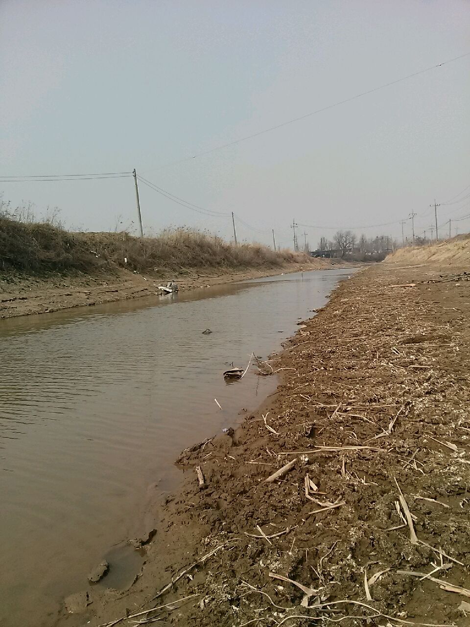 20150321_140011.jpg