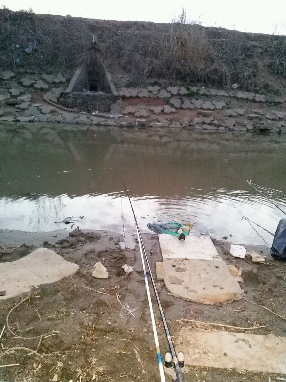 20150328_190122.jpg