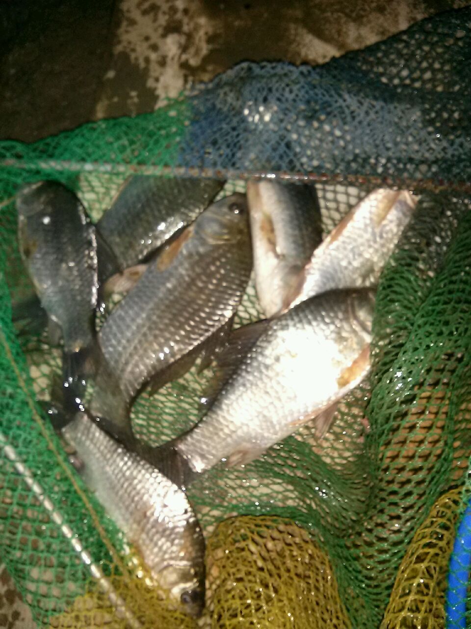 20150328_193132.jpg