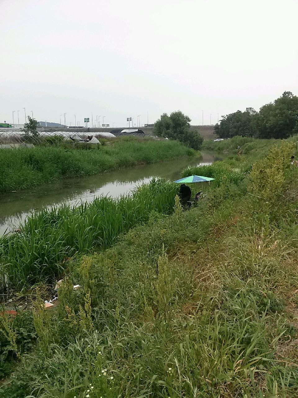 20150530_092123.jpg