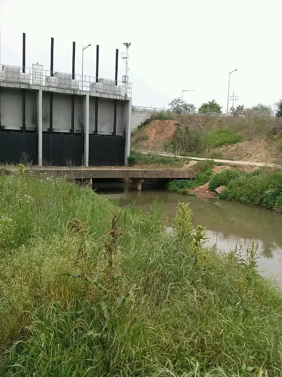 20150530_092129.jpg
