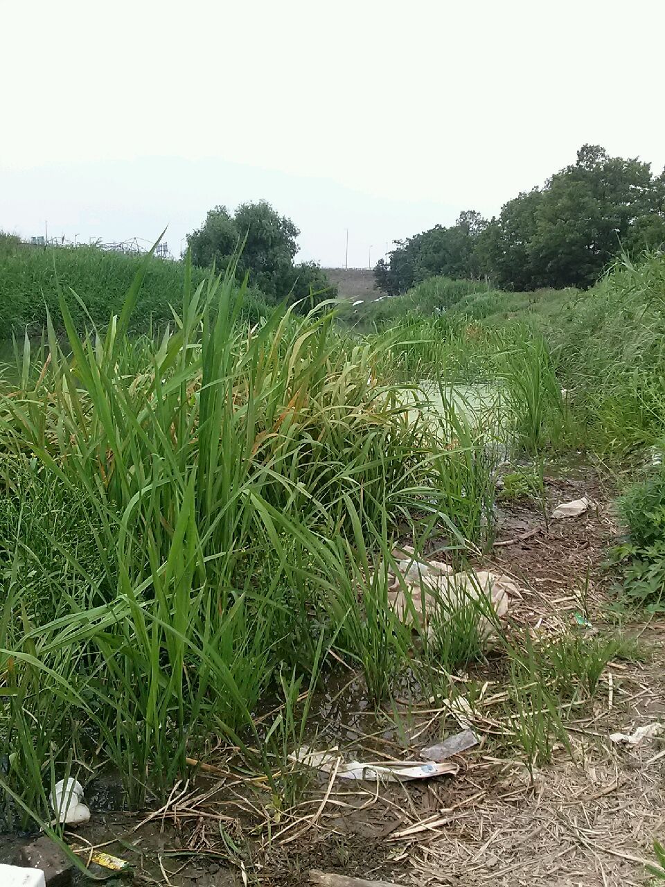 20150530_102759.jpg