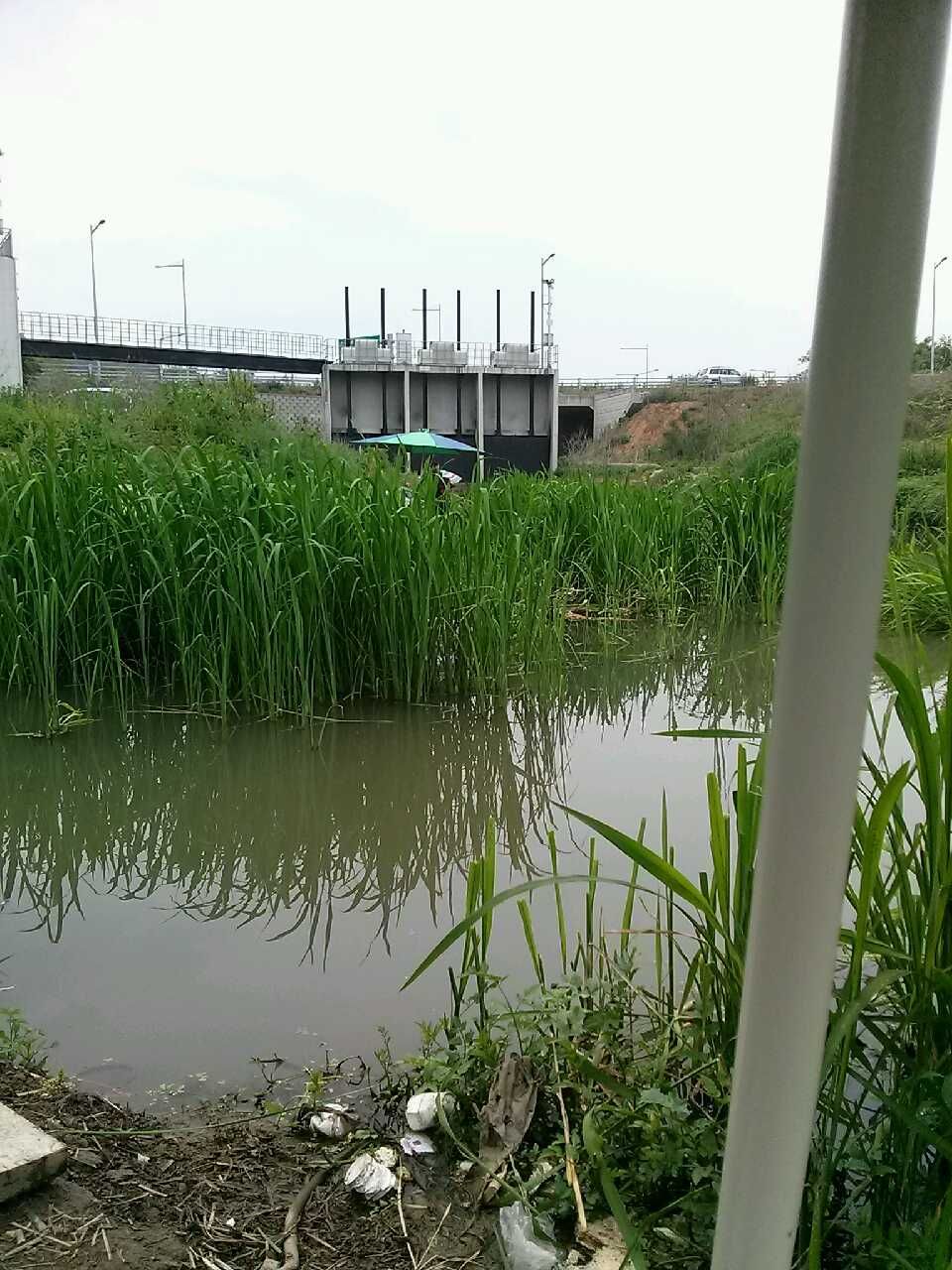 20150530_102803.jpg