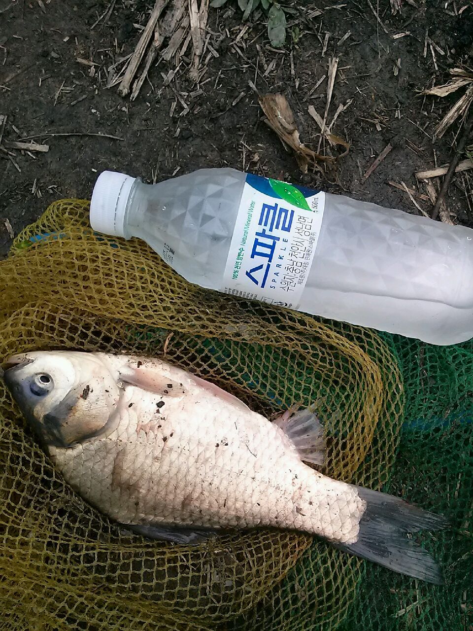 20150530_114547.jpg