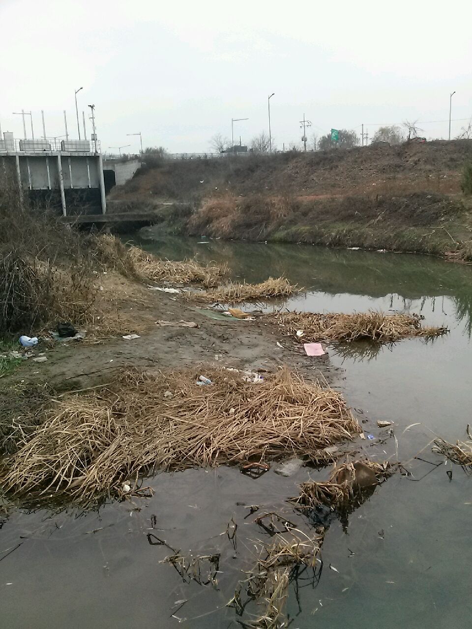 20151210_122047.jpg